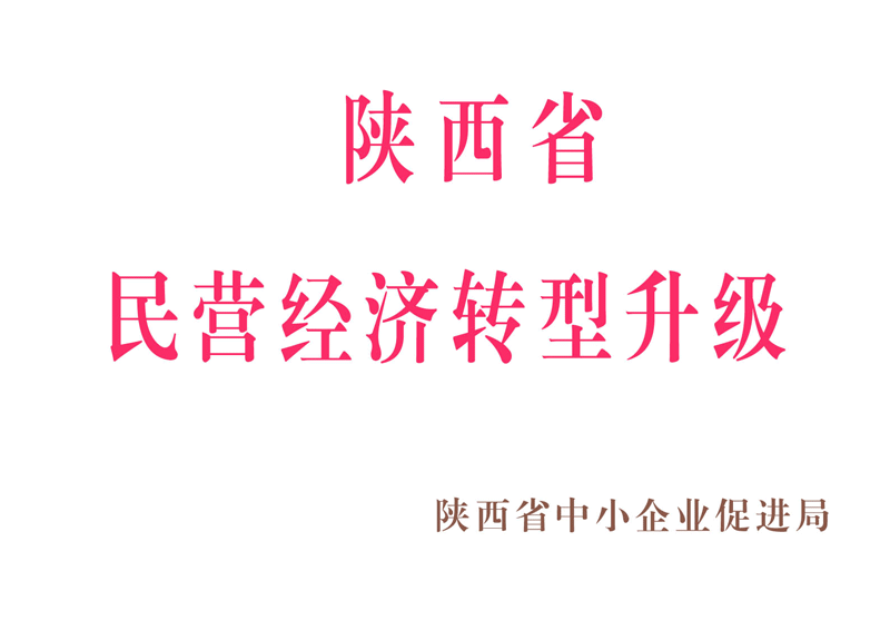 陜西省民營經(jīng)濟(jì)轉(zhuǎn)型升級(jí)